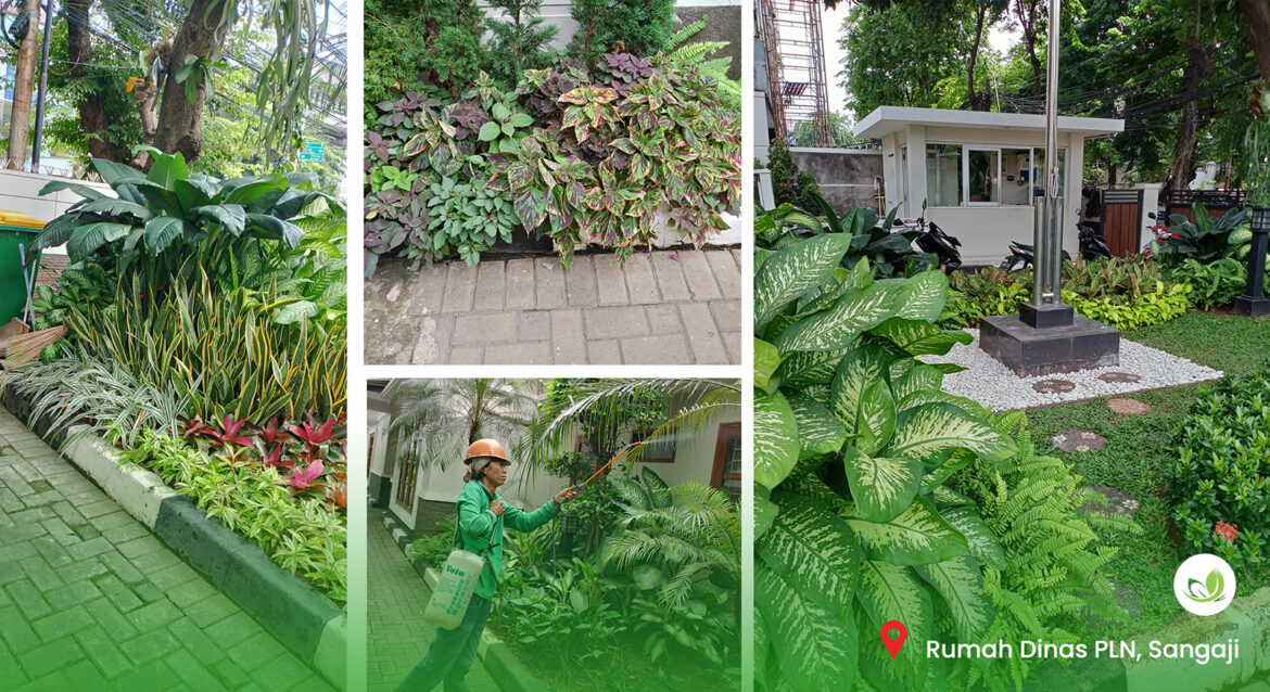 Rumah Dinas PLN UID Jaya