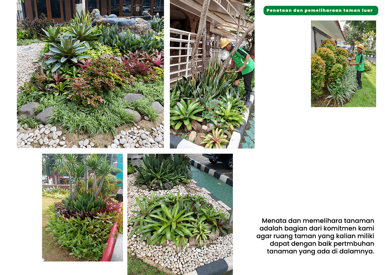 Penataan dan Pemeliharaan Taman Luar