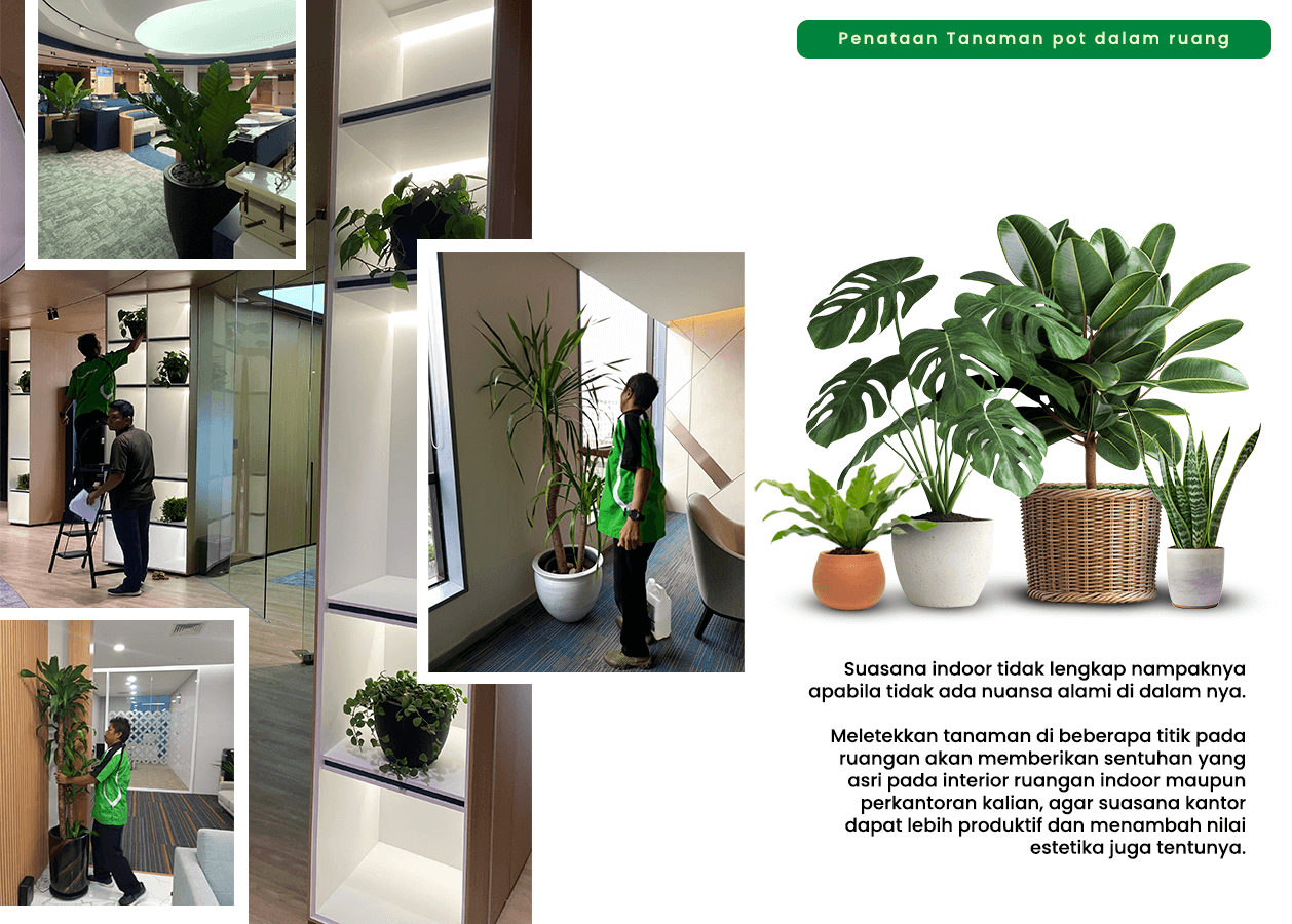 Penataan Pot dalam Ruang